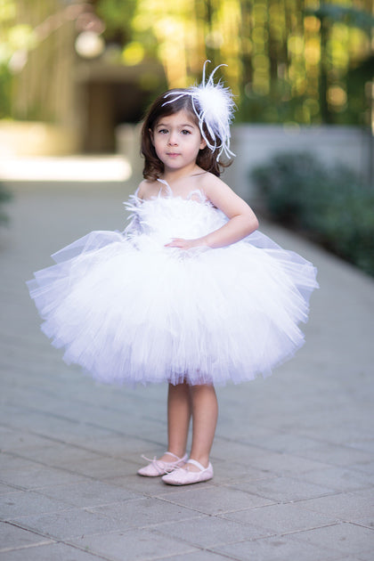 Swan Princess Dress