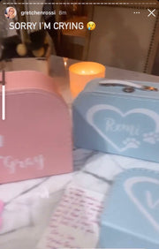 Pet Love Box (25% off with code LOVE22)