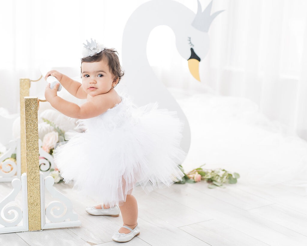 Swan Princess Dress