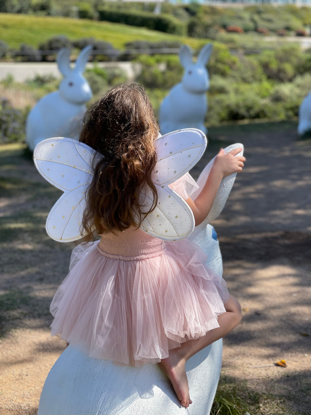 FAIRY WINGS AND STAR MAGIC WAND DRESS UP SET – Marais Sky